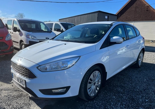 Ford Focus cena 28700 przebieg: 217830, rok produkcji 2014 z Sulechów małe 352